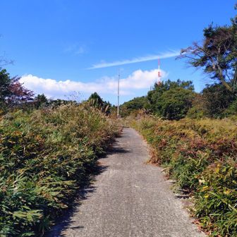 いきなり開けてコンクリートの道に出ます