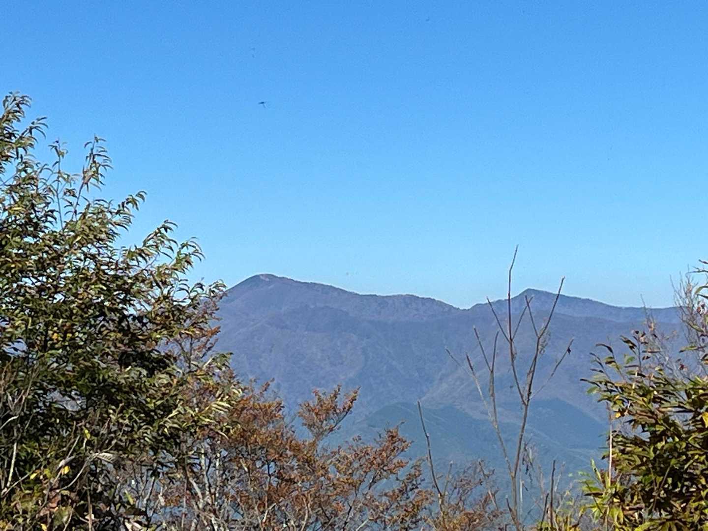 西峰に戻って雲取山
