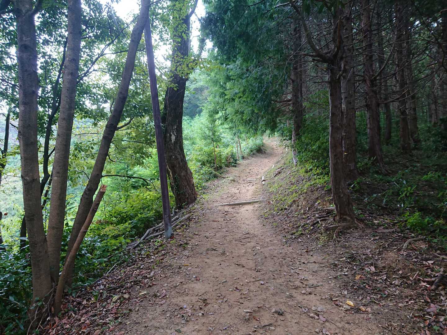 雨降り前で道は乾いています
