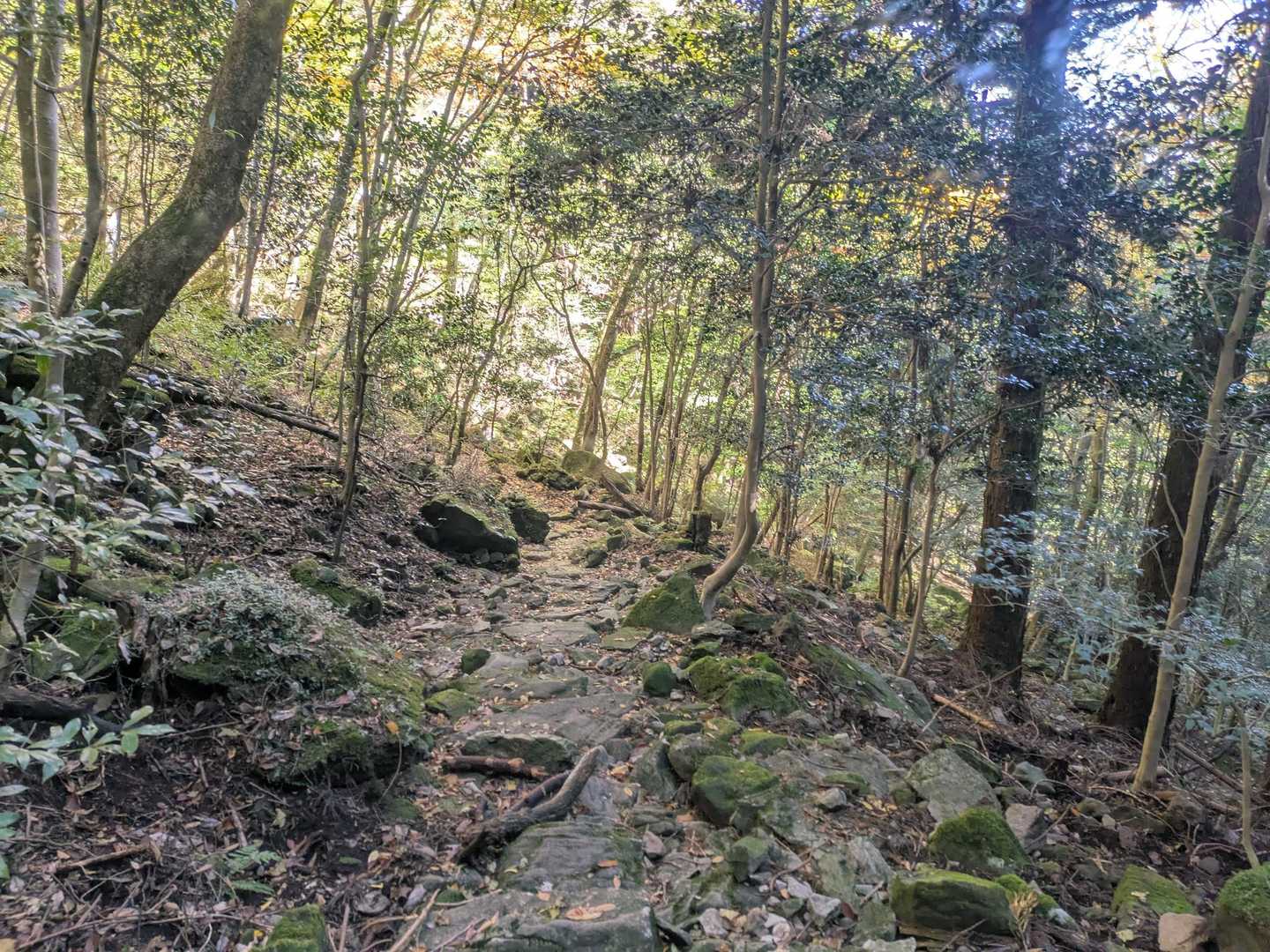 金泉寺登山口-金泉寺-西岳 往復コースの写真
