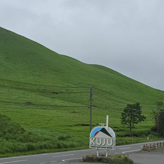 一目山
2020年春に、野焼きで焼け死にそうになった強烈に記憶に残る山😆