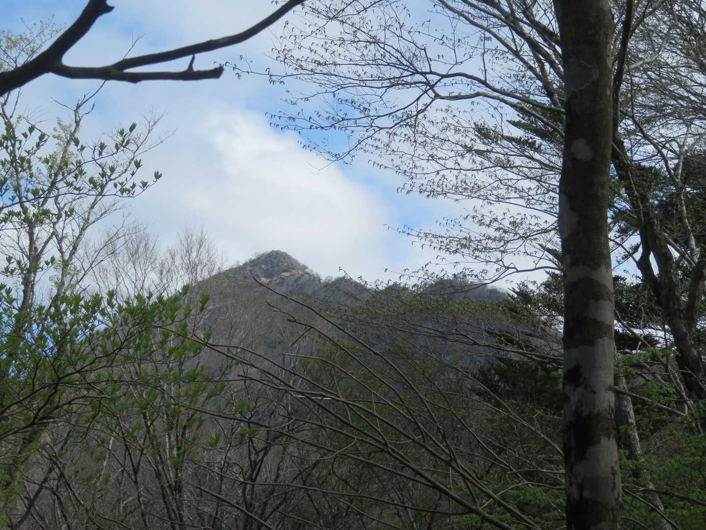 山頂方向だけど、登りがいあり❗️