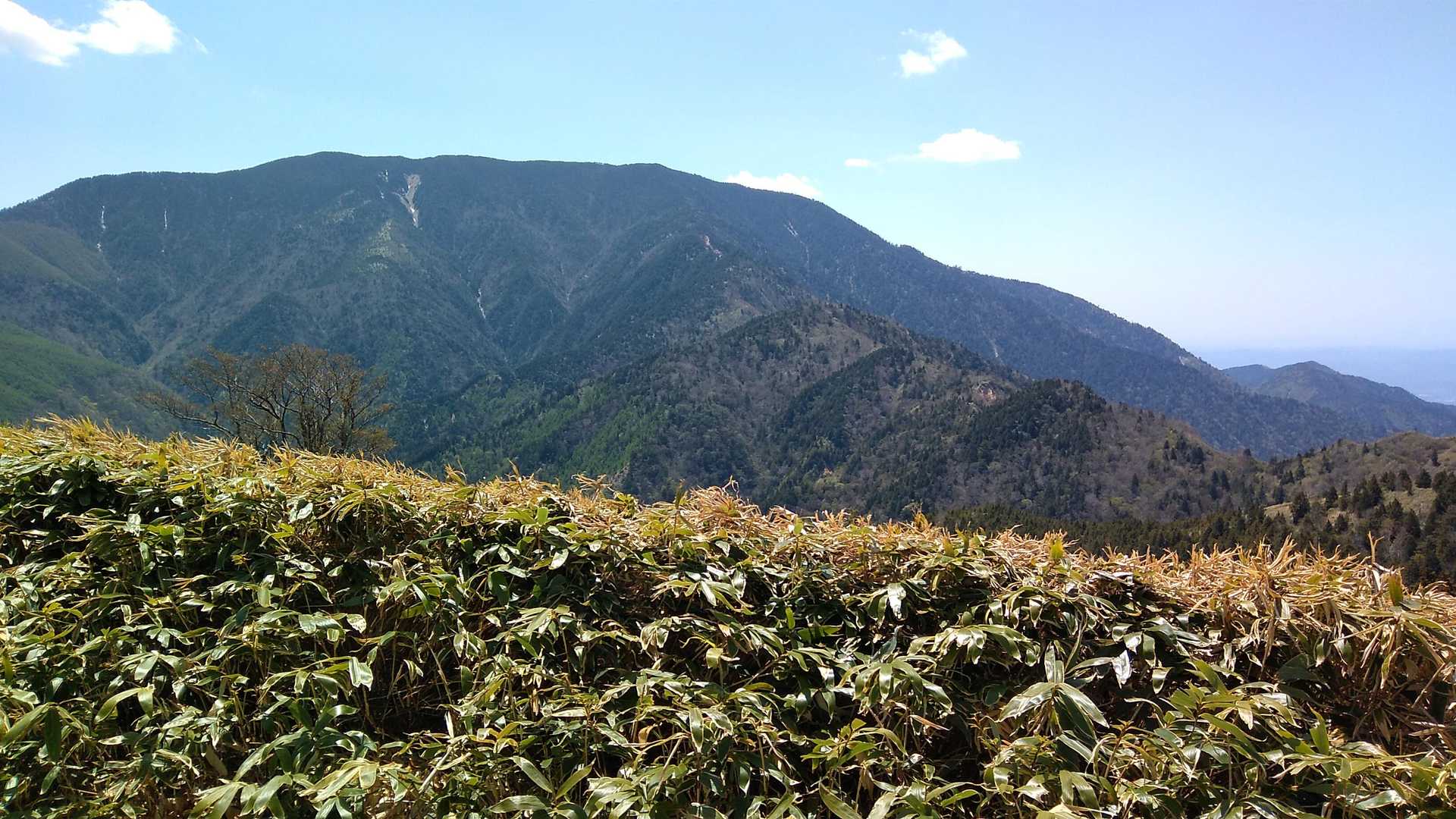 千両山の稜線から恵那山
今日歩いた道を振り返る