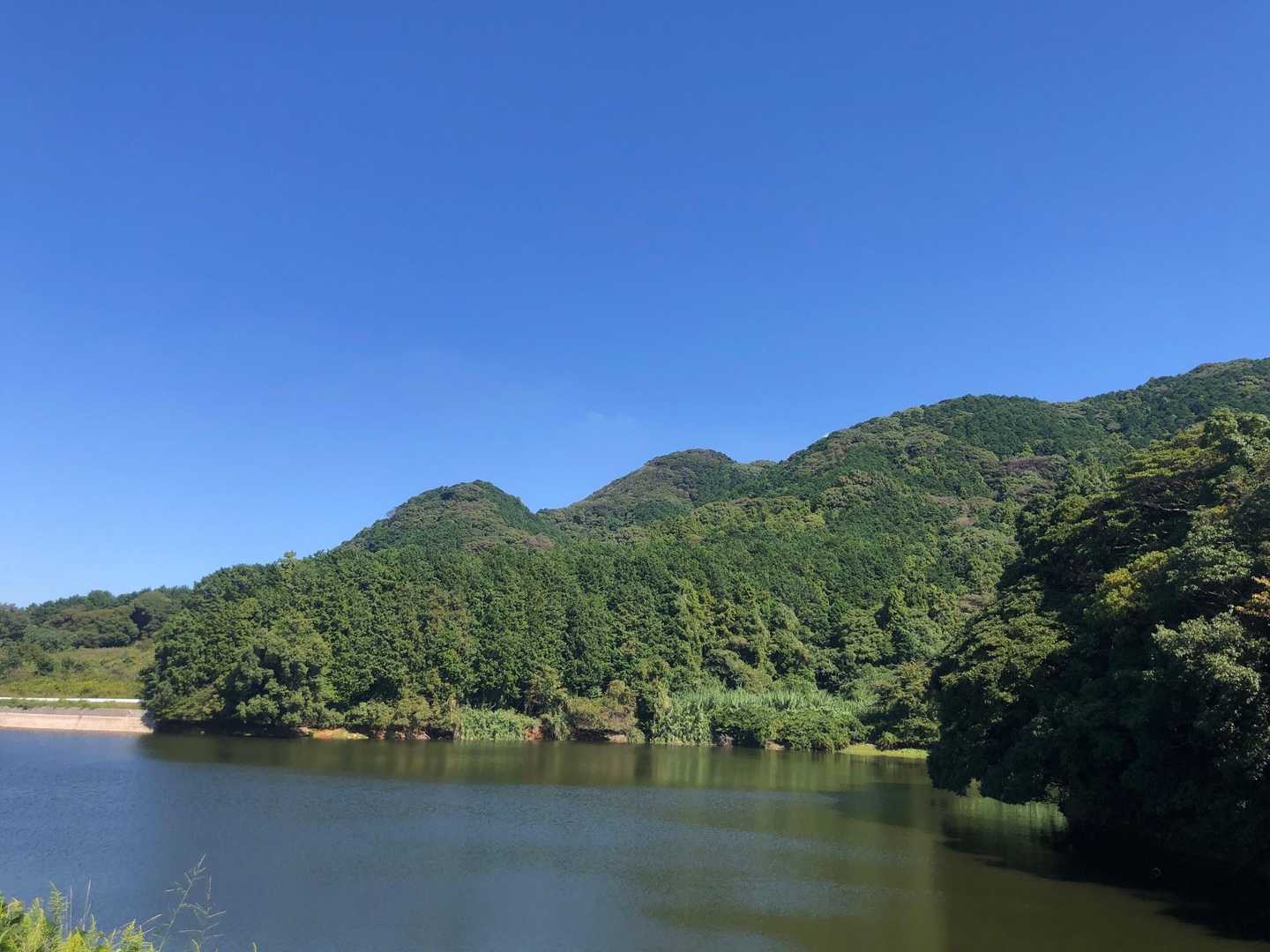 下ってきた山、急なはずだと眺める