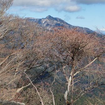 鎌ヶ岳が見える。積雪ありそう。