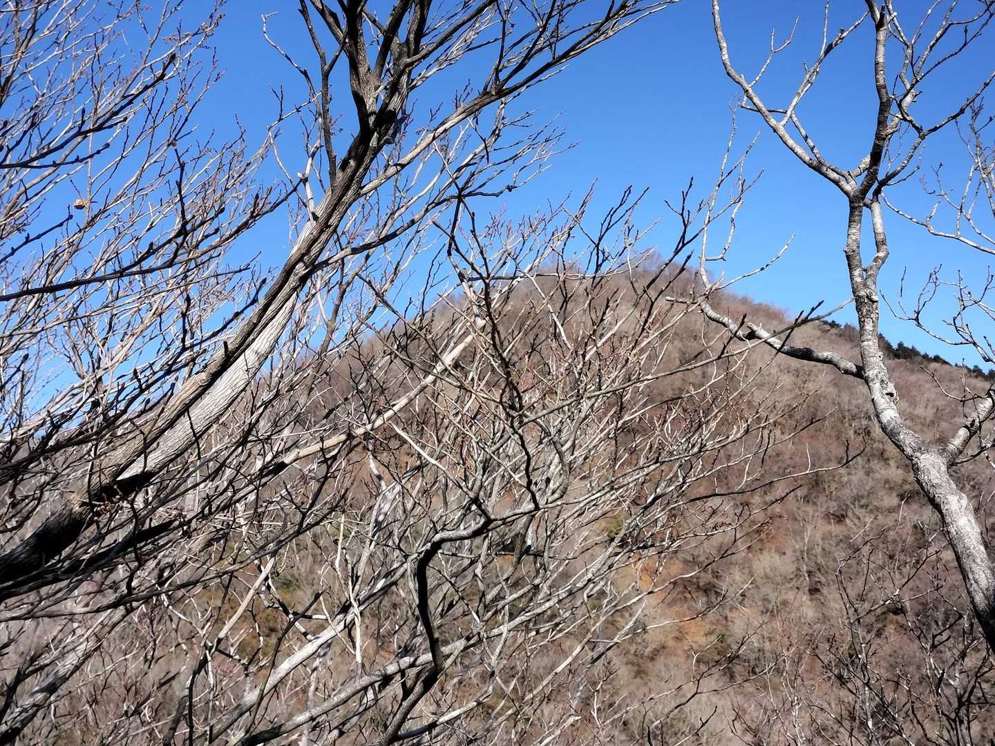 雲母Ⅱ峰