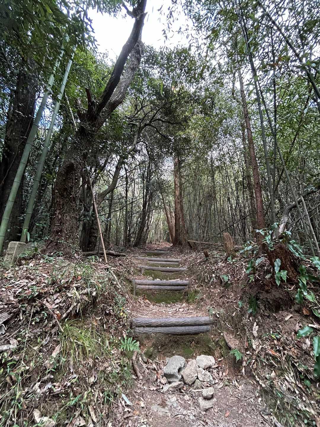 登山道の入り口付近
