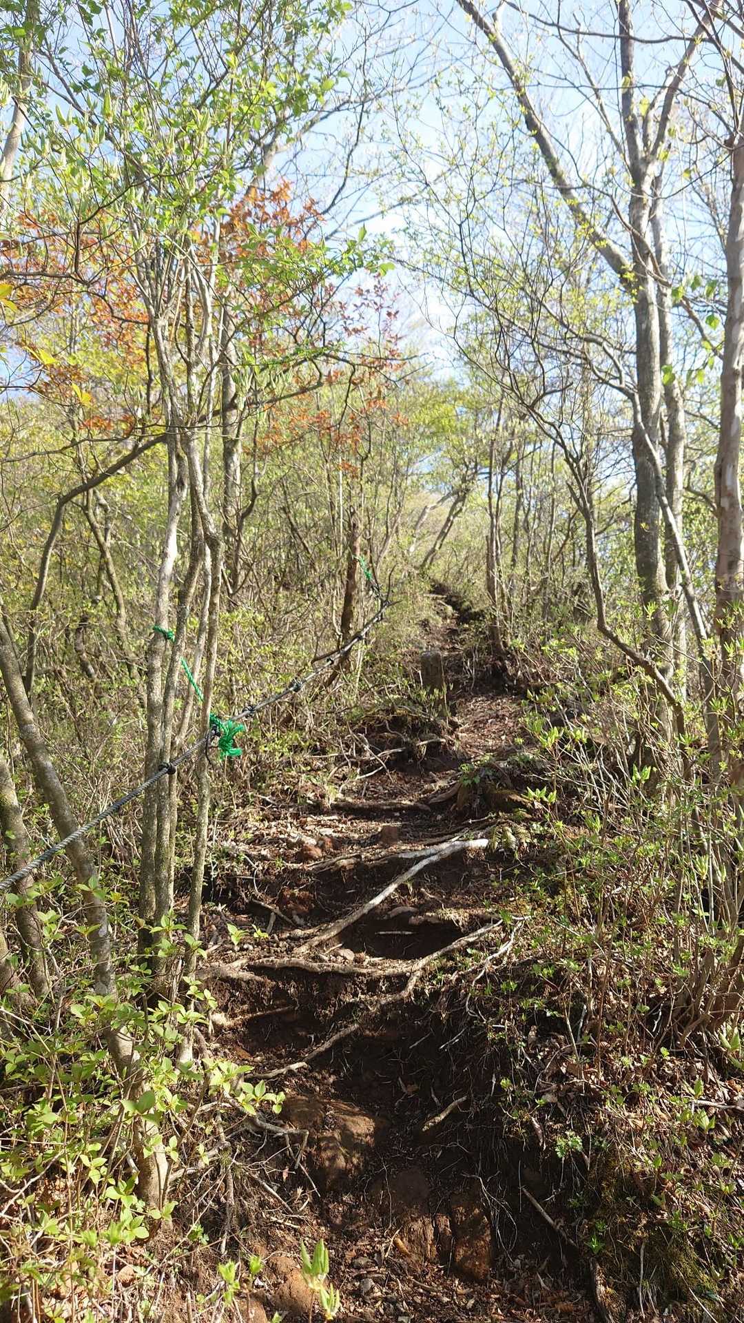 須山愛鷹登山口-前岳 往復コースの写真