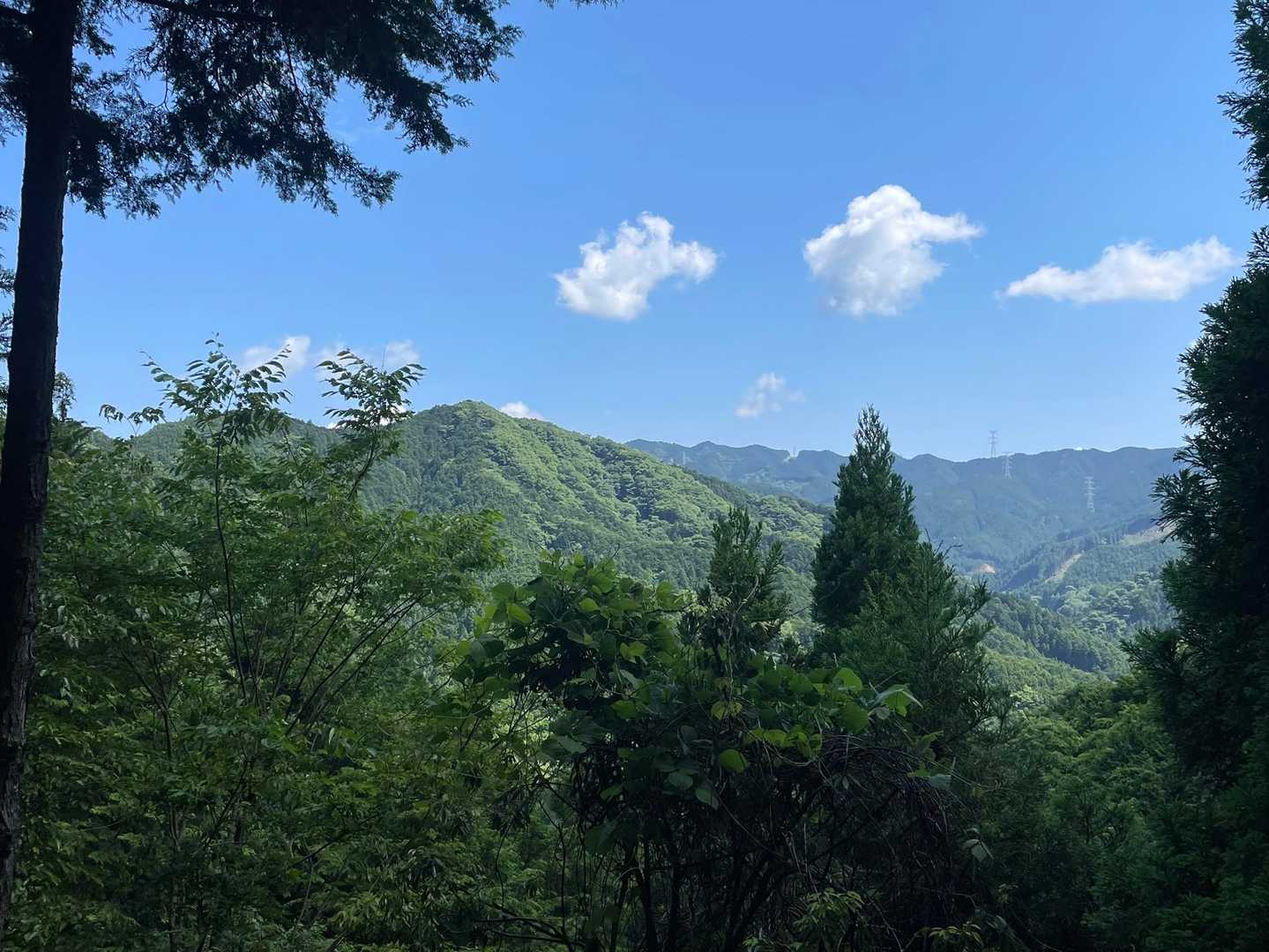 ちょっとだけ眺望あり
白猪山？