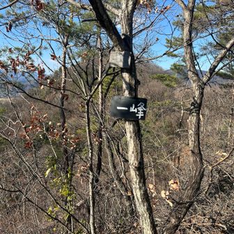 一峰。この後お会いしたお爺さんの手作りだそうで。