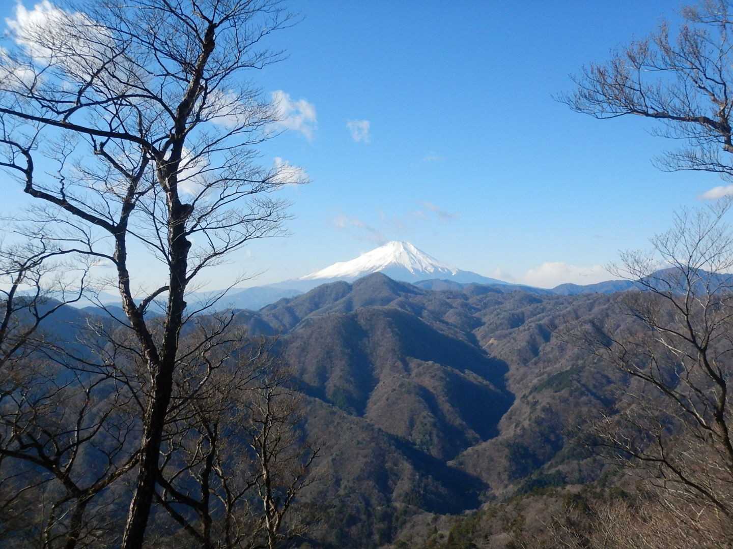 犬越路～大室山