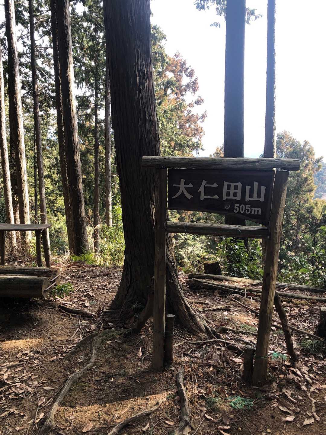 大仁田山着いた。