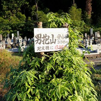 【感謝】有難うございます🙏
