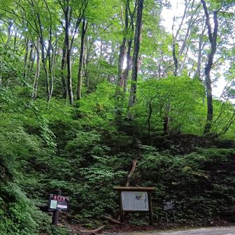 ユートピア入口！！
夏山より人が少ないのがいいね！