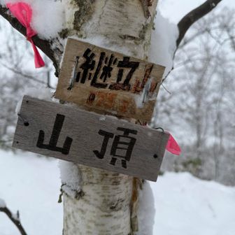 右に視線を移したらあった🪧🙌

雪が被ってたからわからなかったよ😅