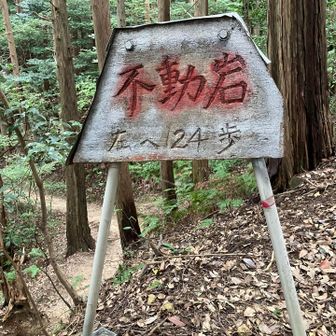 ここまでの登りで、寄り道する体力はありません！下りに寄ります😓