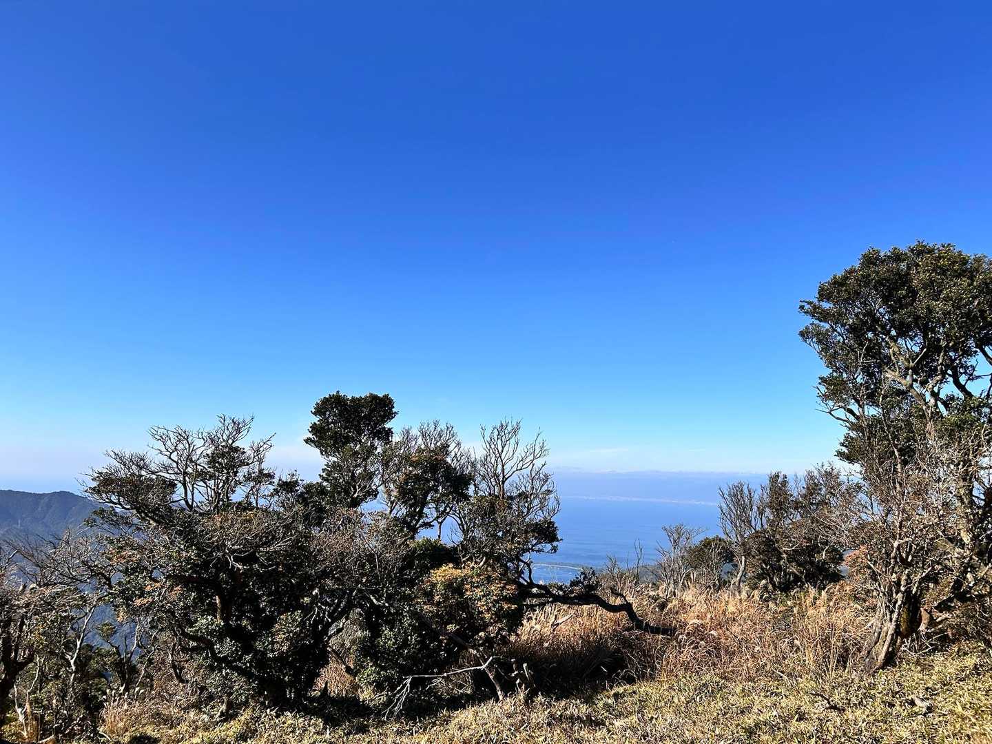 海が時々見える、気持ちの良い登山道