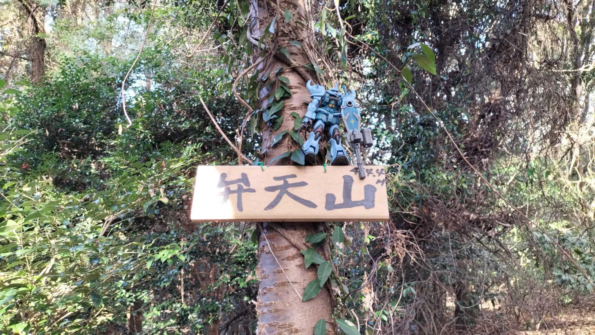 弁天山（464ｍ）