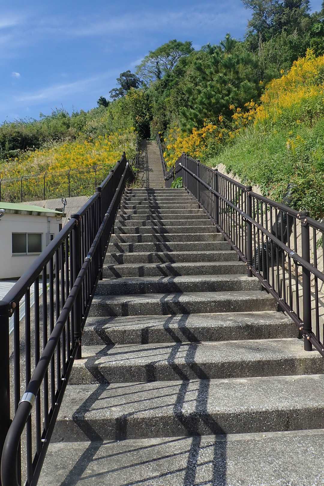 この階段から遠見山へ