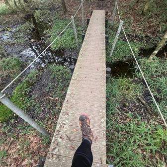 黒の田湿地も寄ってみた
細い橋を通るの面白い。