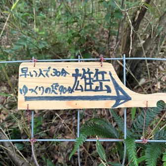 今日は雄岳まで42分🚶
前回の50分を結構上回ってました！