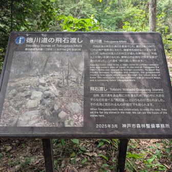 徳川道の飛石渡し
