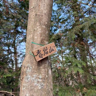 底沢峠にて縦走路から外れた踏み跡を登り、小ピーク赤岩山に寄り道。