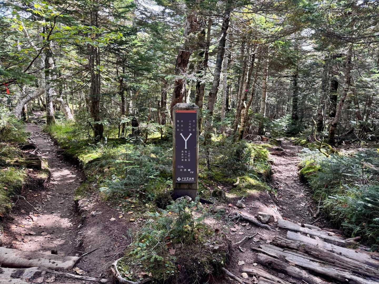 分岐がありました
右は荒川岳(悪沢岳)、小河内岳へ
左は本谷山、塩見岳へ

左に進みます🫲
