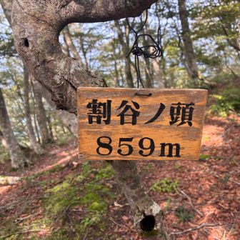 寒風から少し足を伸ばしてピークハント