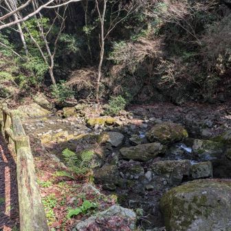 さあ、雰囲気出てきました！