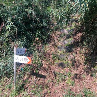 花咲山登山口に下りて来ました
