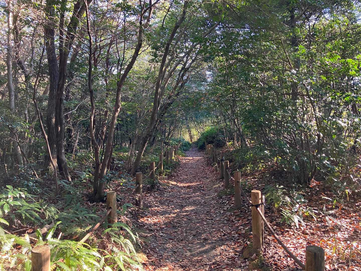 家族連れの多い優しいお山でした☺️