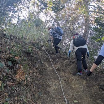 ちょこっとだけロープ