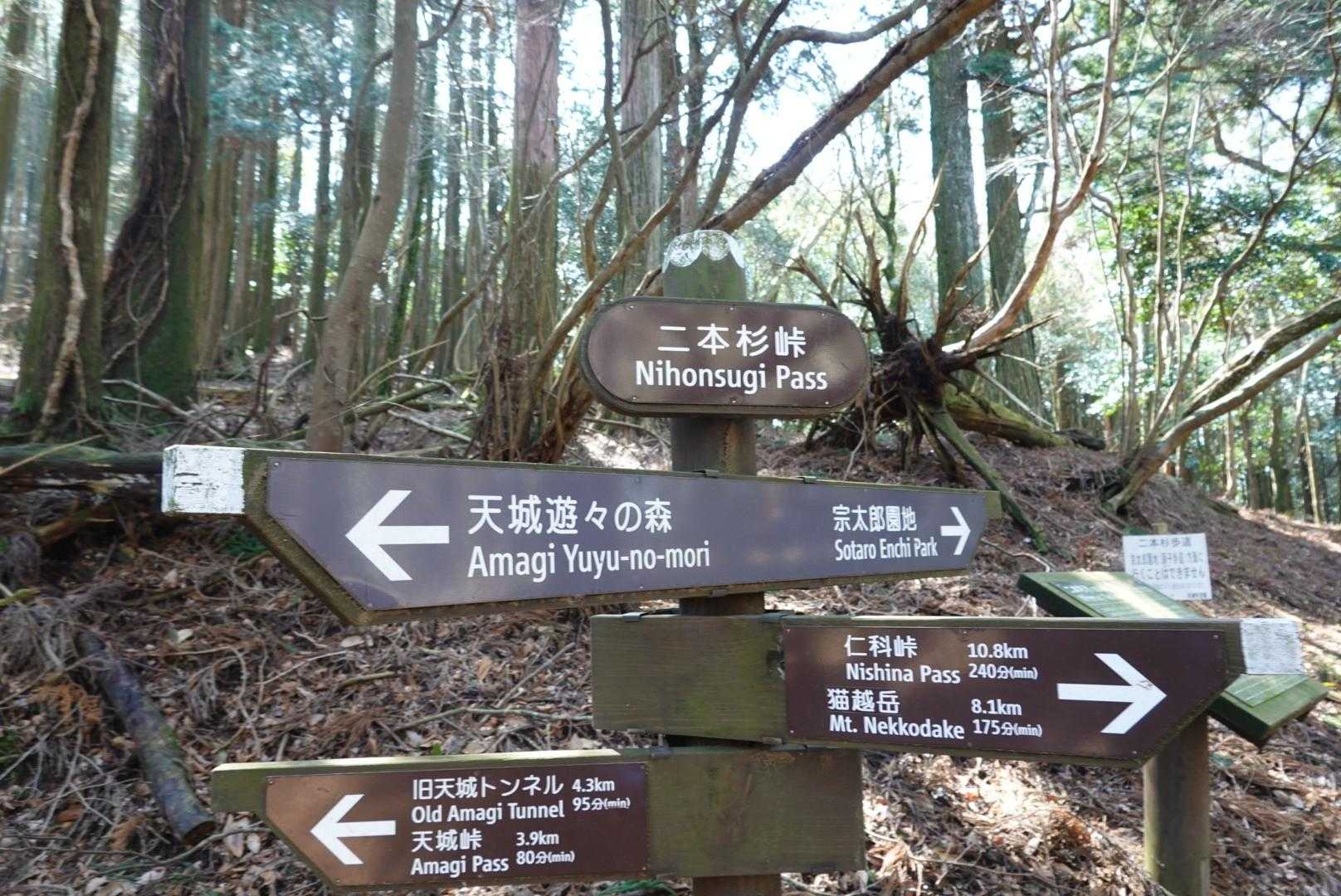 二本杉峠です。
このトレイルは、峠がいっぱい😅