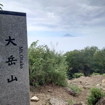 富士山見えた