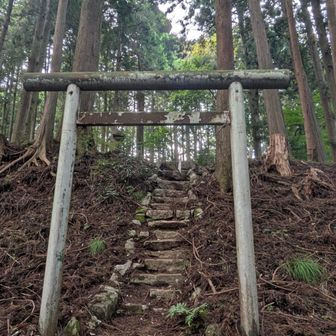 指が入ってもうた