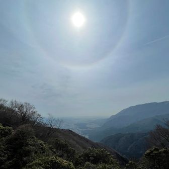 霞んでるけど展望も良い
藤原岳が見えました