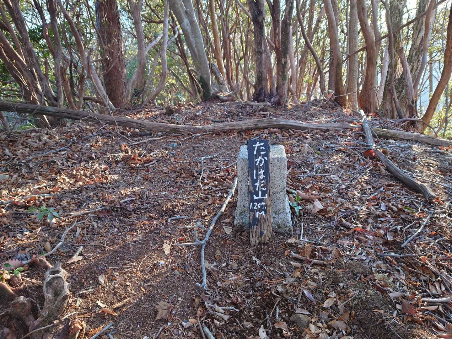 たかはた山到着
休む間もなく出発