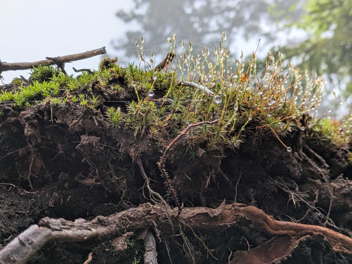 しずく💧✨
息子撮影