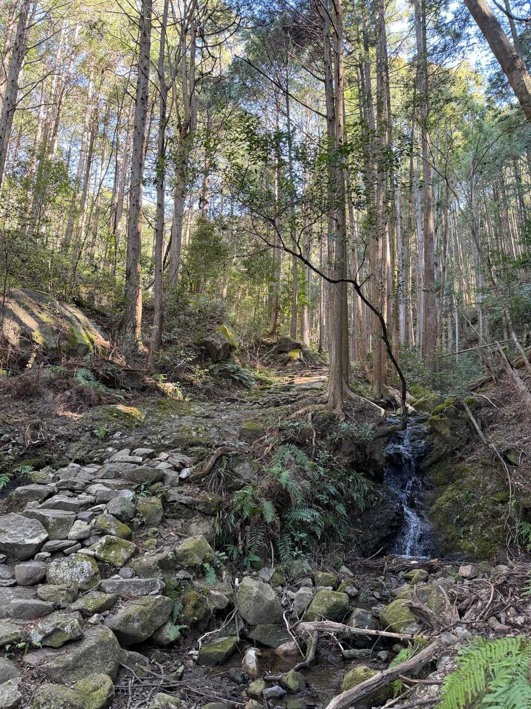 歴史を感じながら🚶‍♀️‍➡️