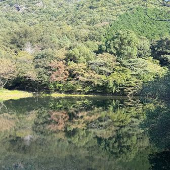 松尾池、2025年3月に来た時は工事中でした