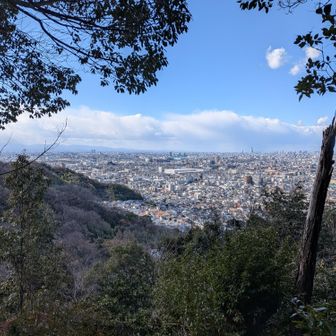 途中にベンチのある展望所あり👍
