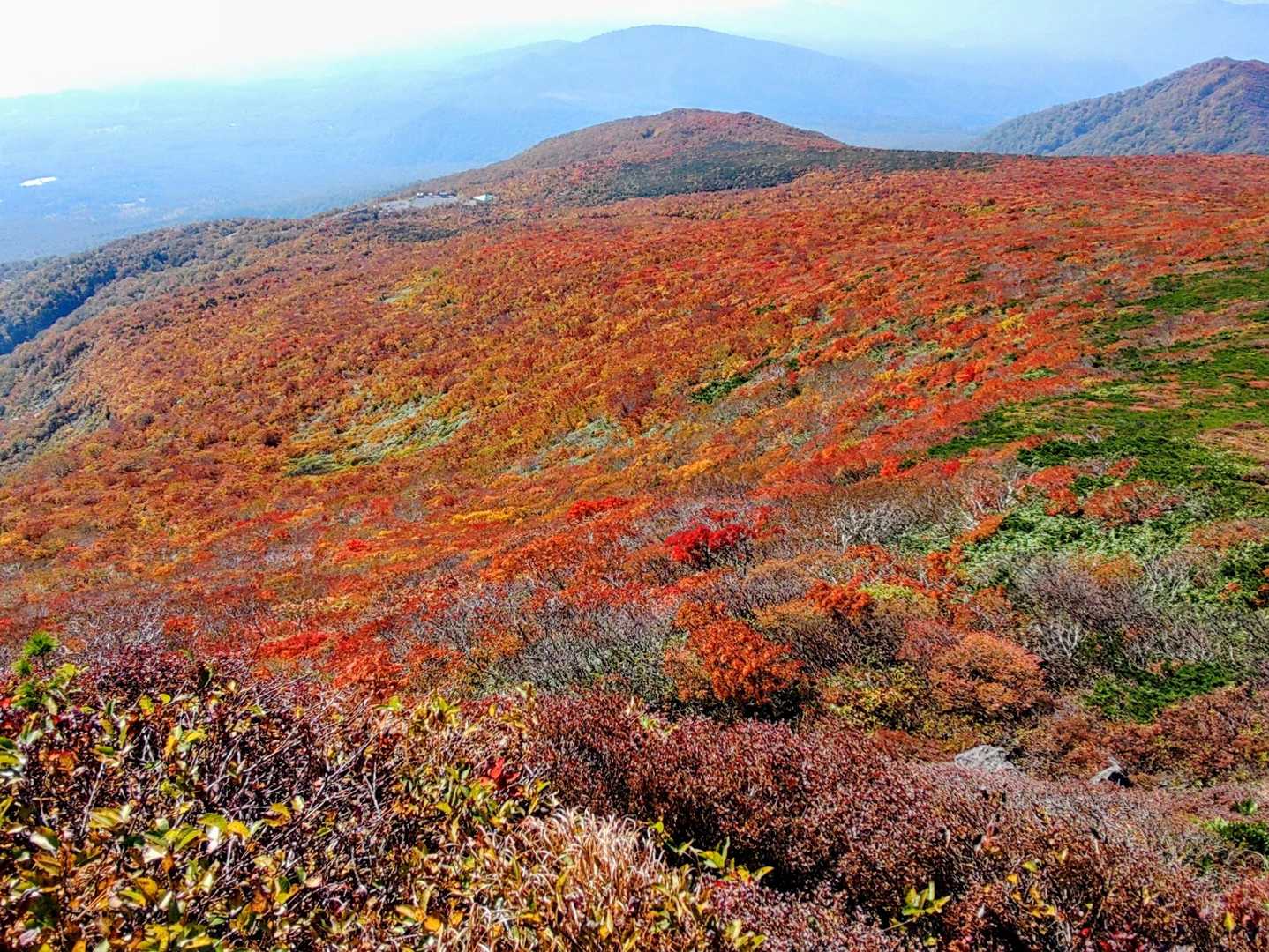 栗駒山(須川岳)・東栗駒山 / よしぴーの登山データ | YAMAP / ヤマップ