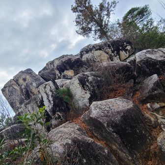 石山だけに石ごろごろ