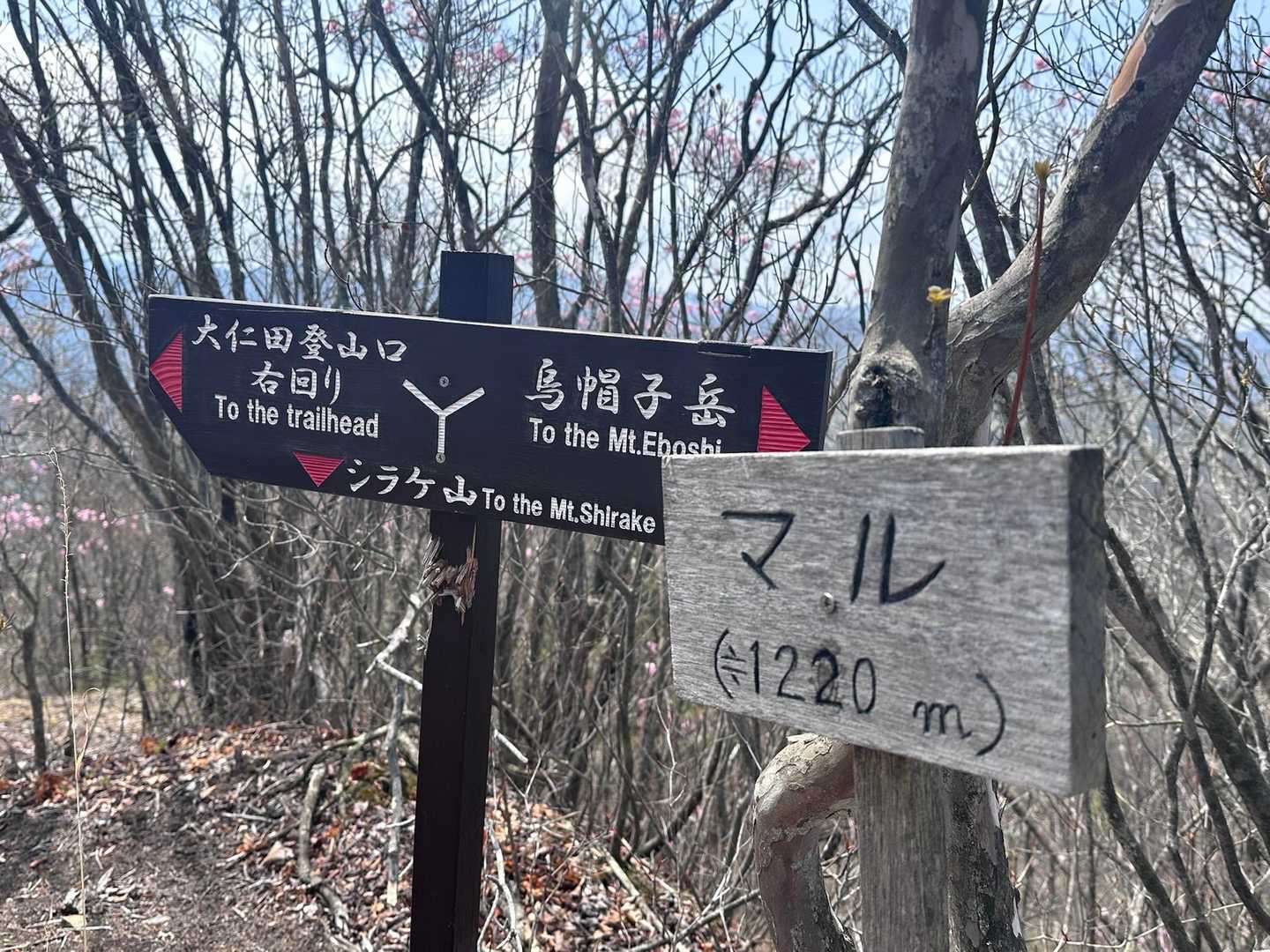マル
かわええ山名だこと⸝⸝⸝♡︎