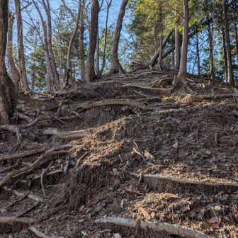 登りがキツい部分はあるよね