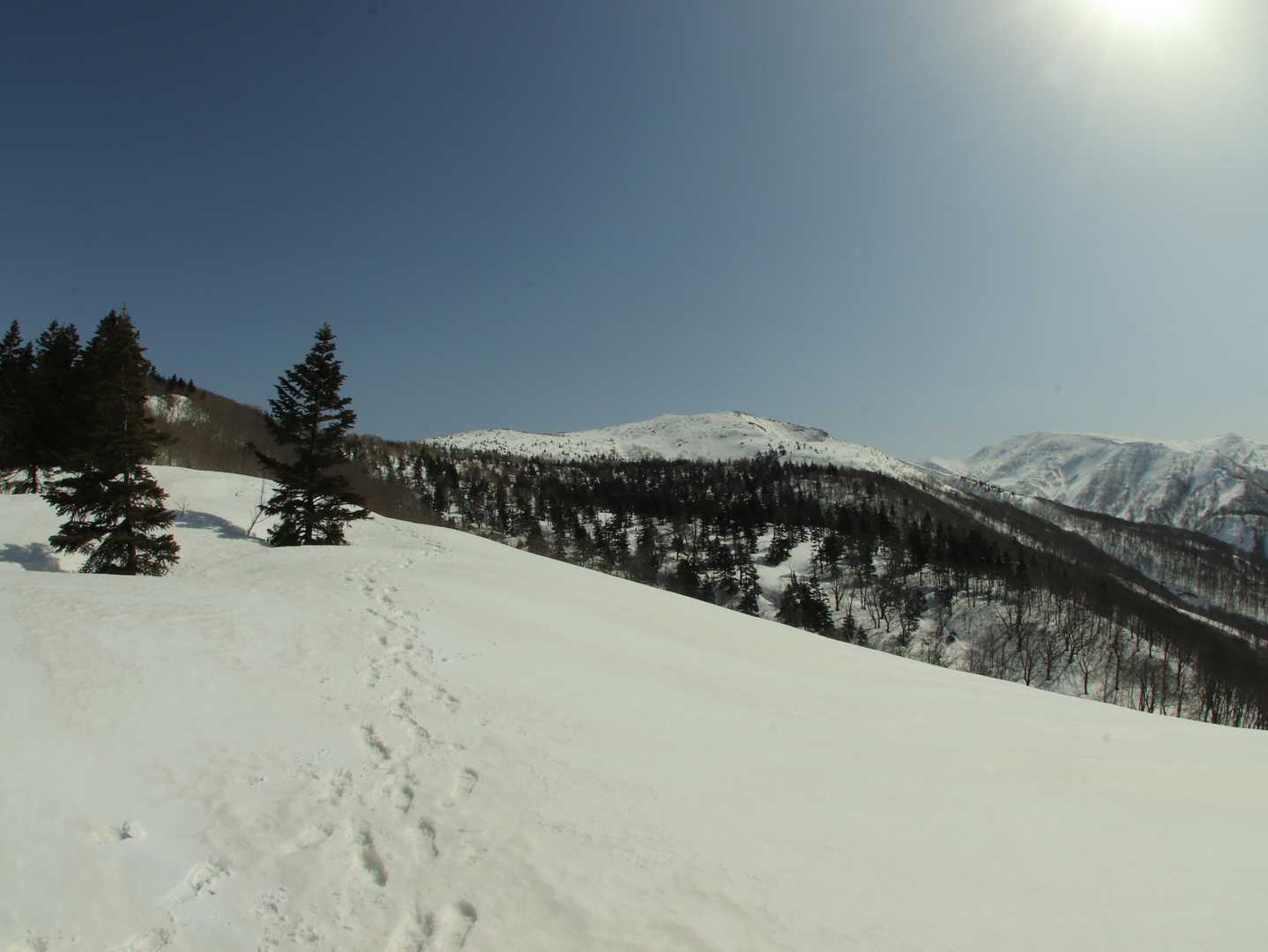 向かうべき山頂もばっちりです