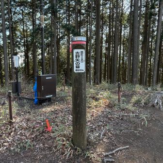 後ろの人工物は何じゃろな。