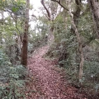 急登を上り詰めると山頂へのアプローチ。