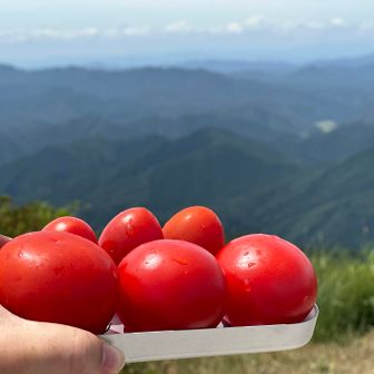 トマト好きなので、
水分補給代わりに
たくさん食べちゃう🍅

「トマト人間になるよ🍅」
と家人からはよく言われる🤣